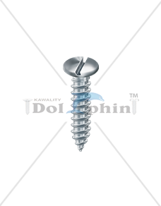 Pan slotted head (-)