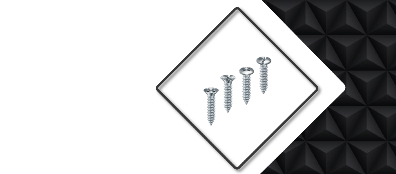 Stainless Steel Self Tapping Screw