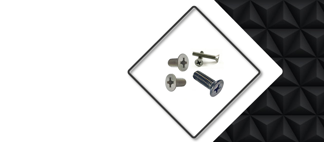 Metal Machine Screw