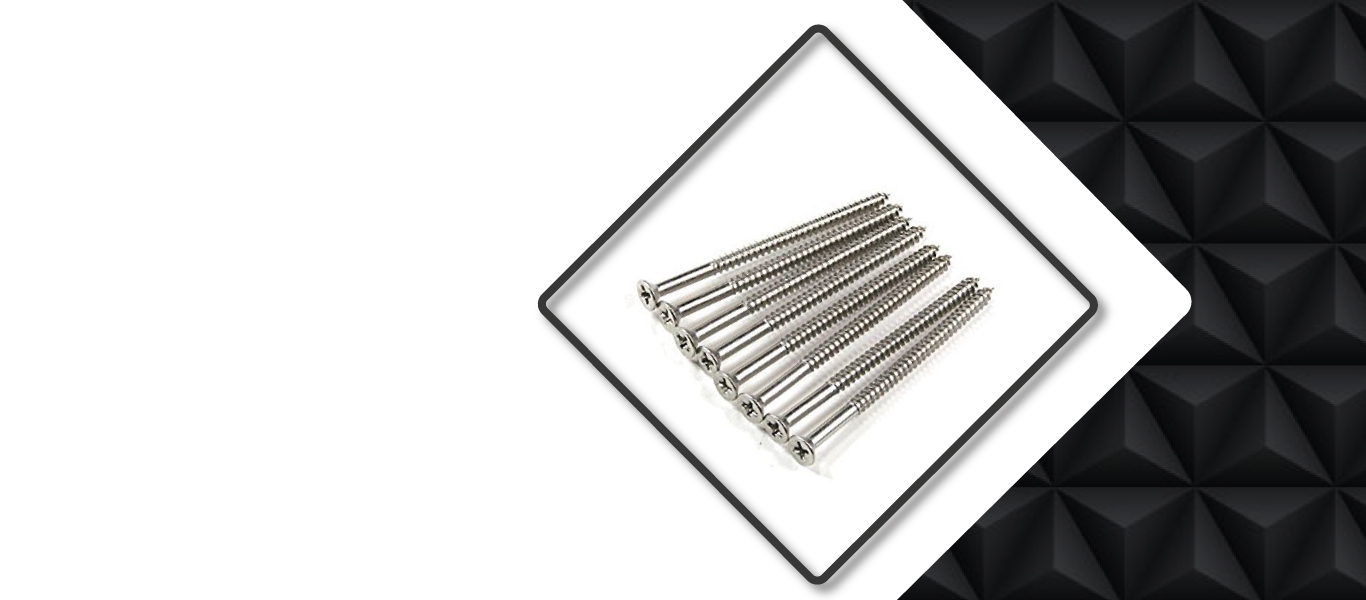Stainless Steel Wood Screw